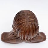 African bust of Joseph Bansimba carved in wenge - 20th century