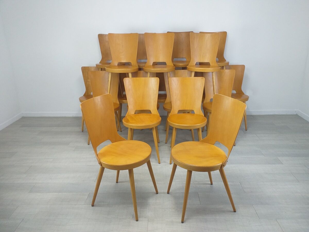 Chaises bistrot brasserie Baumann modèle Dove vintage années 50