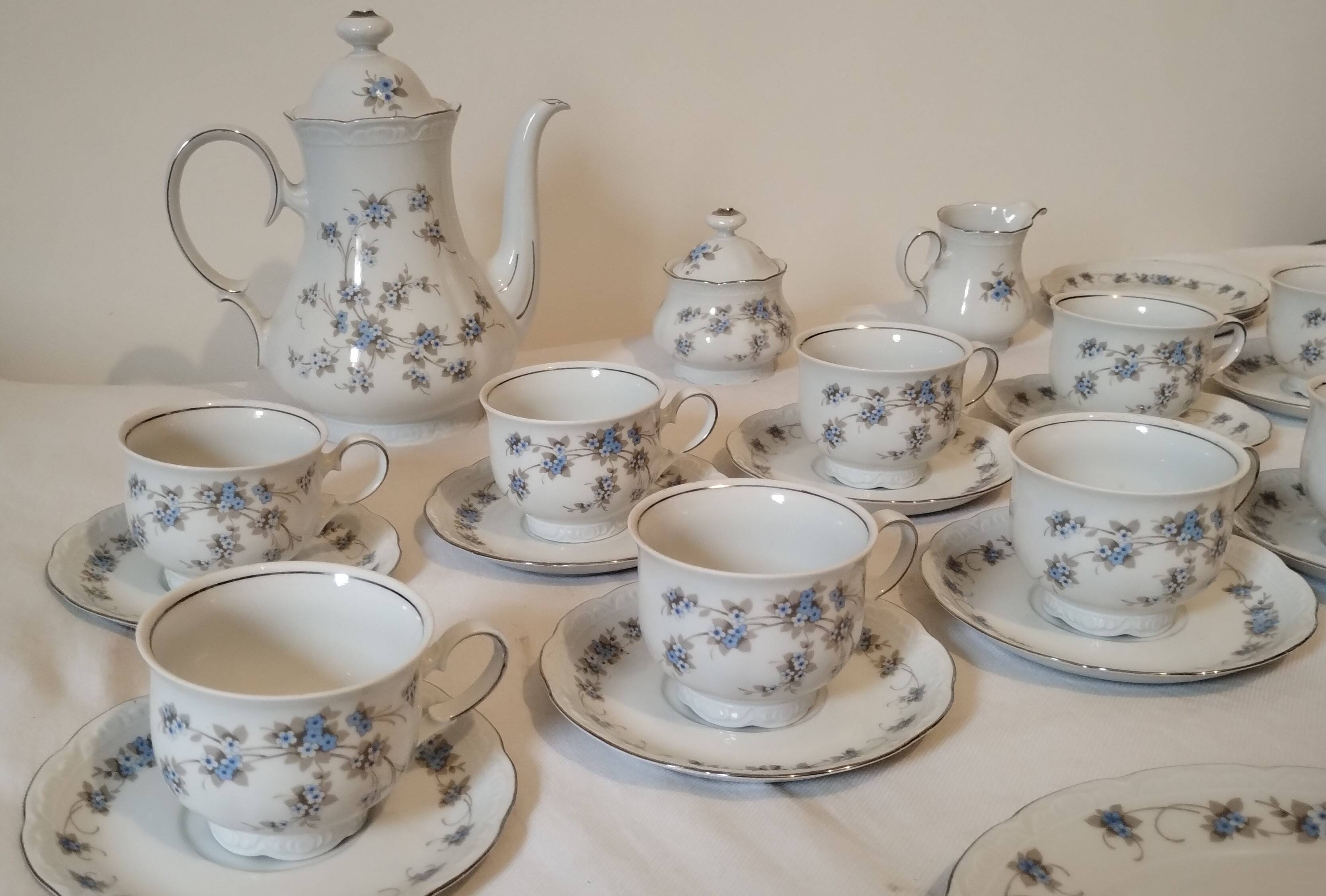 Mitterteich Bavaria Porcelain Coffee/Tea Set
