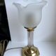 Tulip lamp in brass and glass 50s