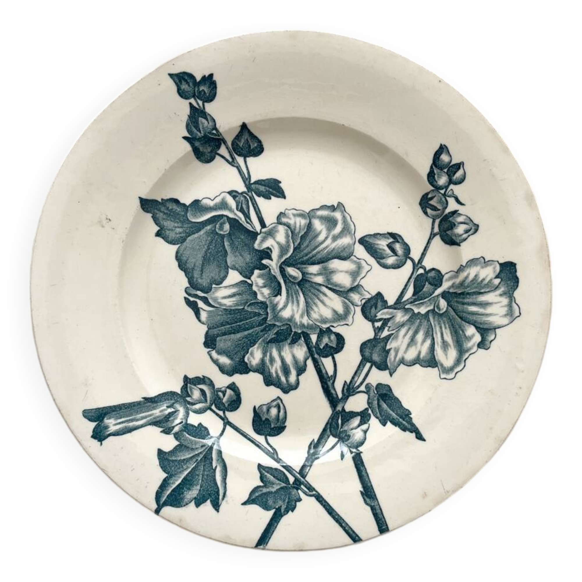 Antique ironstone plate "Tremières" Salins