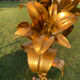 Lampe vintage dorée bouquet de lys Flor Art