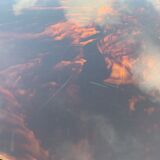 Range records or vinyl range in plexi, turtle scales effect, on wheels, 1970