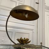 Water lily lamp, Maison Charles, 1970s