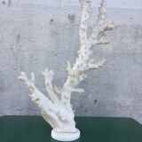 Coral branch 46 x 31 cm on alabaster marble base