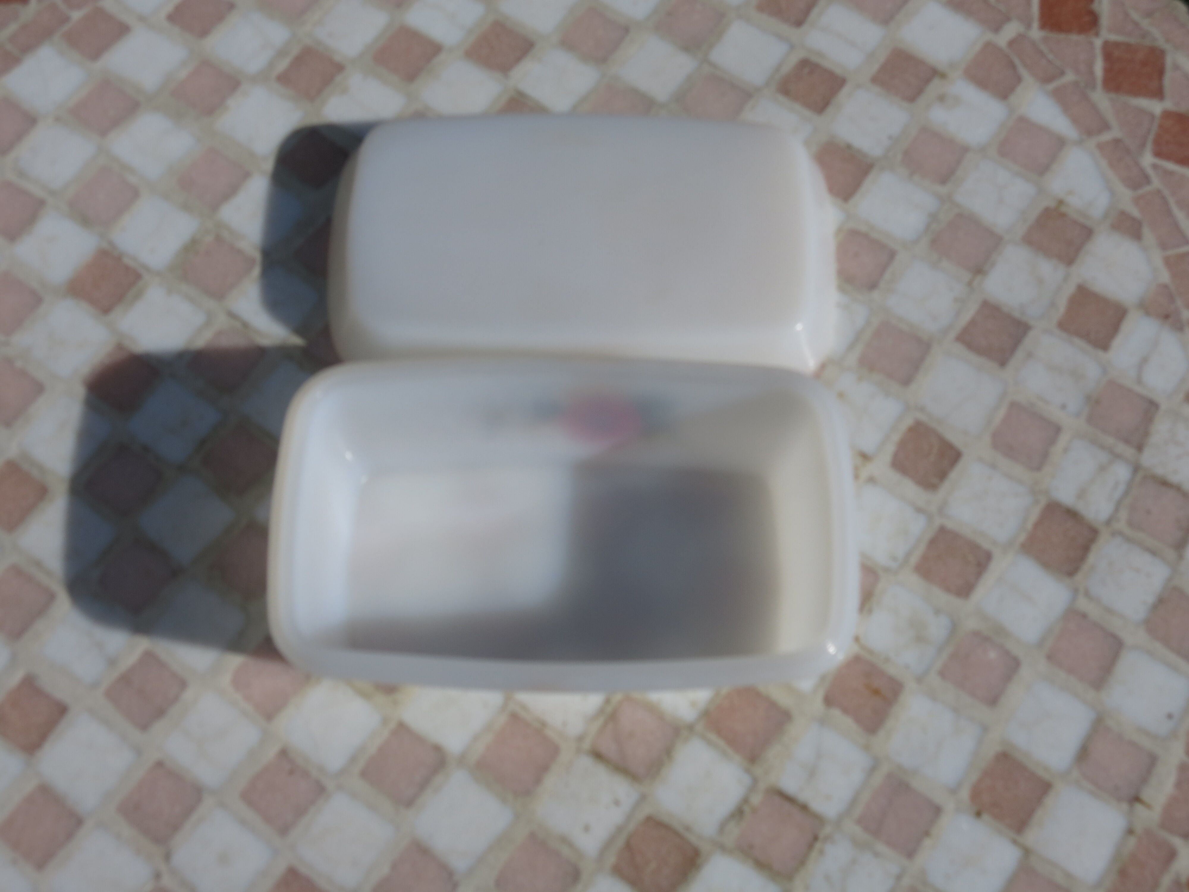 Butter Arcopal red flower