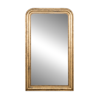 19th C Louis Philippe Mirror with Flowers