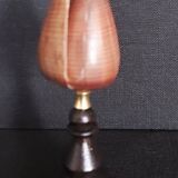 Cabinet of Curiosities conus figulinus shell on base