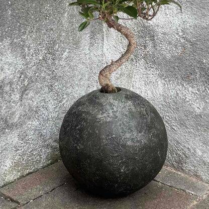 We can pot.