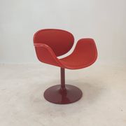 Little Tulip Armchair by Pierre Paulin for Artifort, 1960s