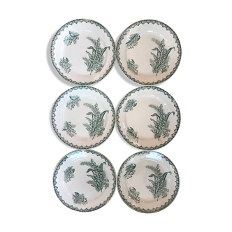 Old plates
