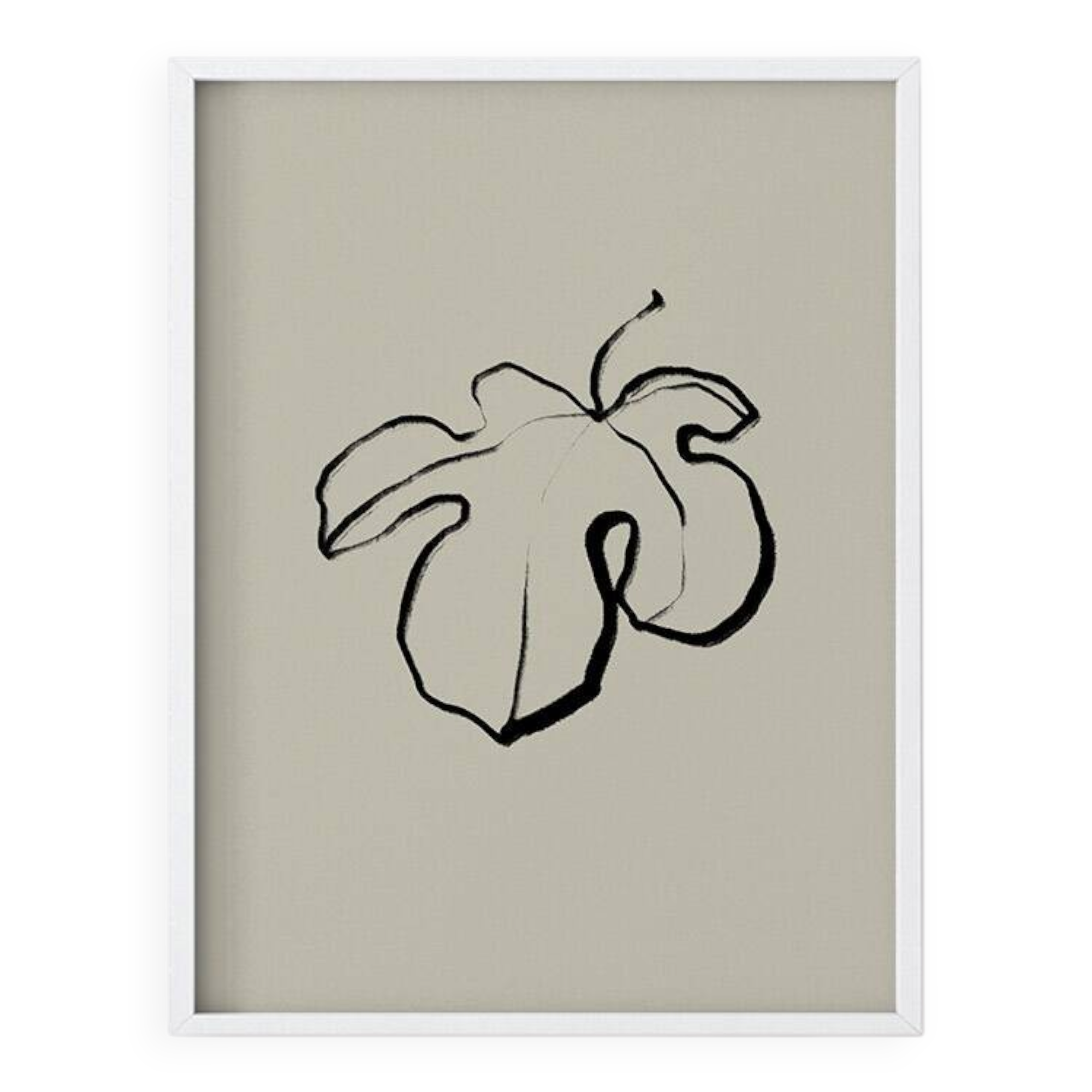 Botanical illustration giclee print, 50x70 cm