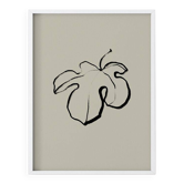 Botanical illustration giclee print, 50x70 cm