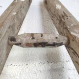 Échelle de fruitier ancienne Etablissements Masson Chateaubriand 2.40m