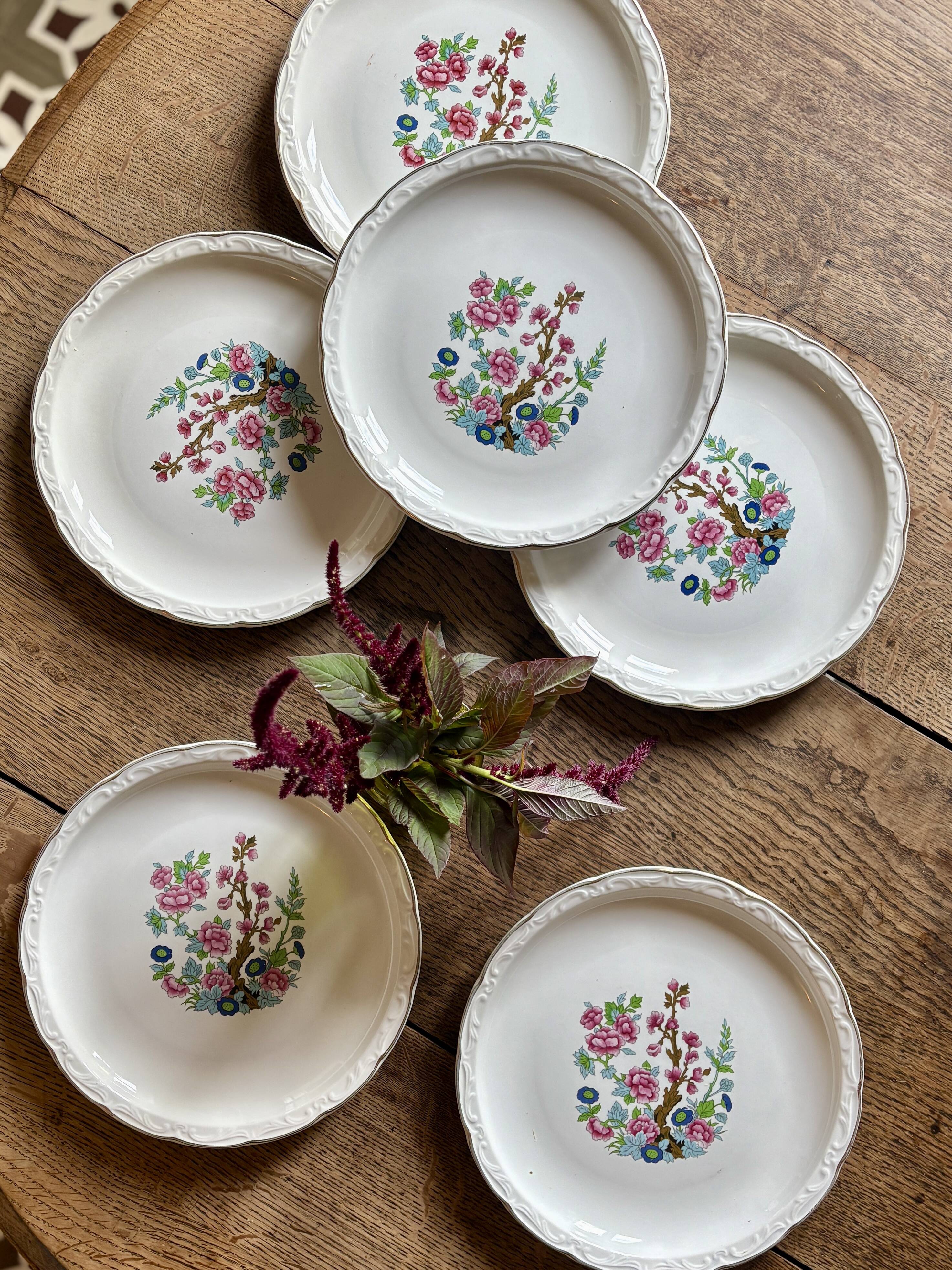 Set of 6 vintage deep plates, "Indian Tree" pattern by Digoin.