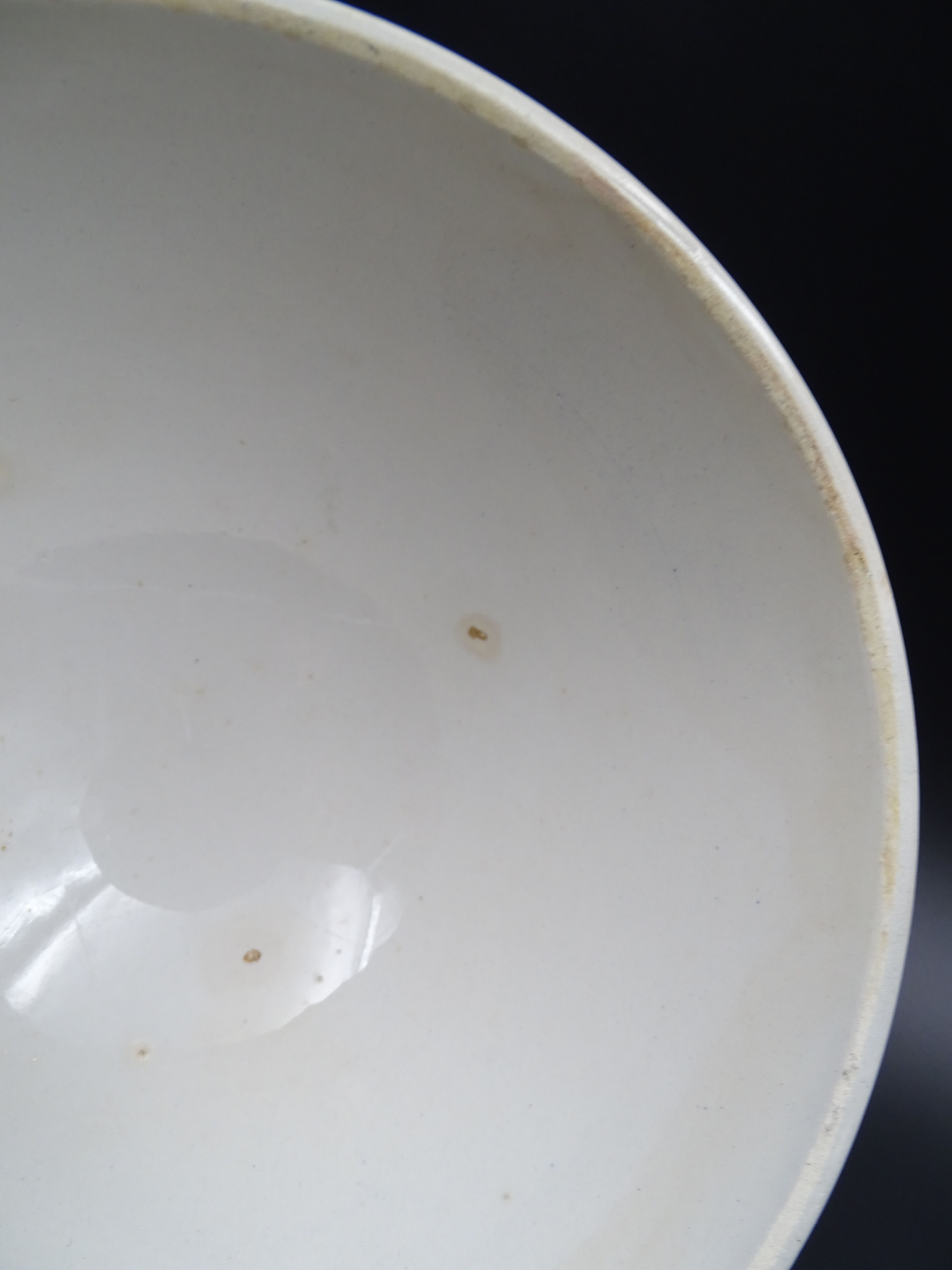 Bowl with earthenware parrots from Badonviller - circa 1940