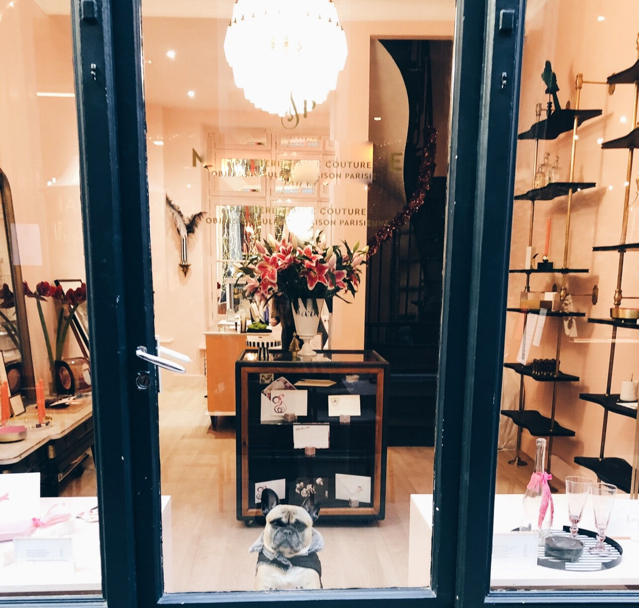 Comptoir vitrine vintage, 1950s