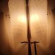 Pair of 50s Rockabilly Butterfly Wall Lights