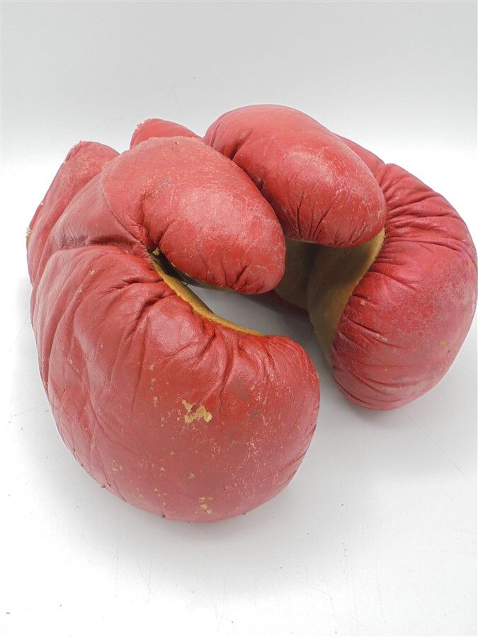 Pair of leather child boxing gloves