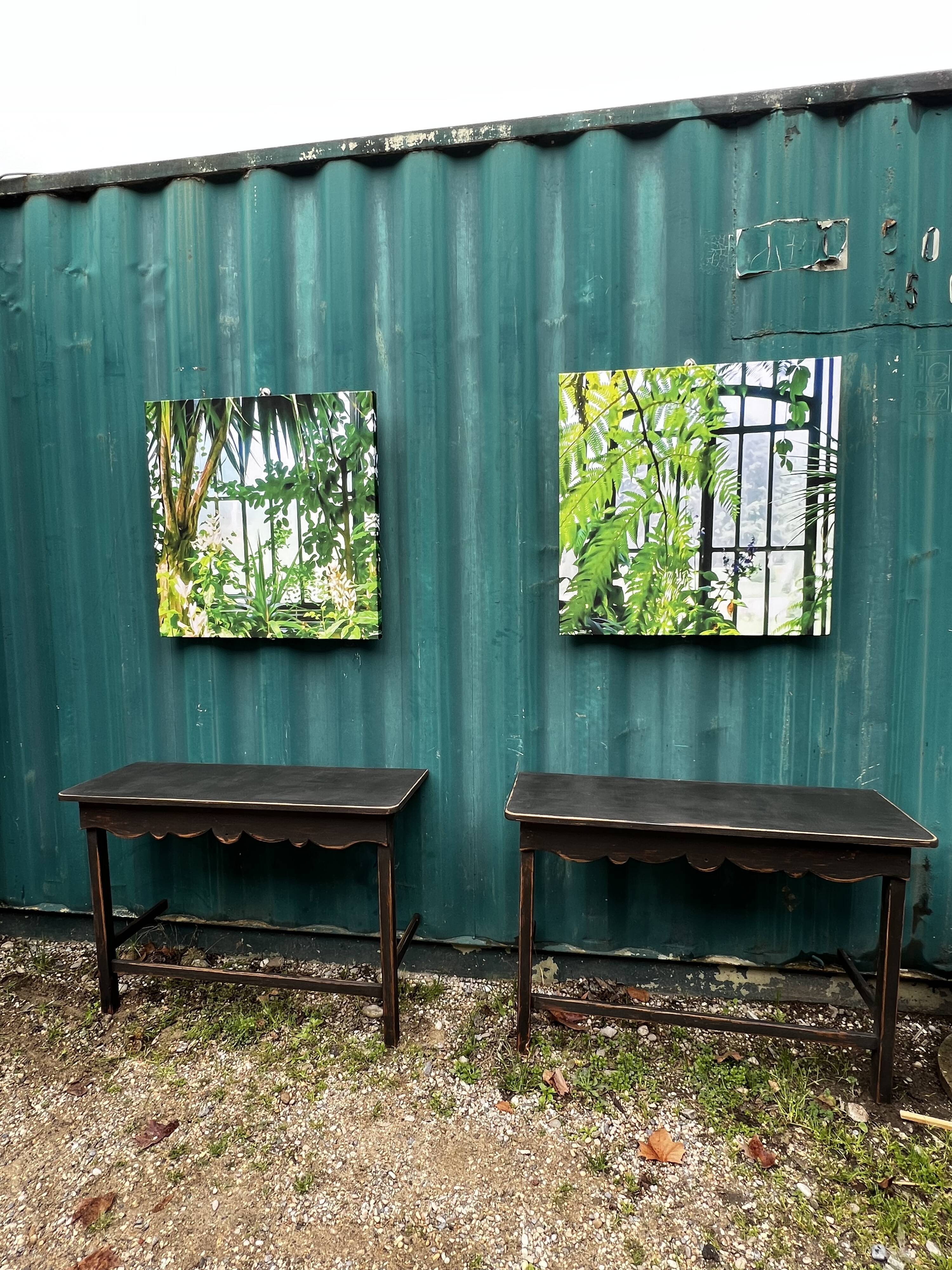 Pair of black patinated consoles