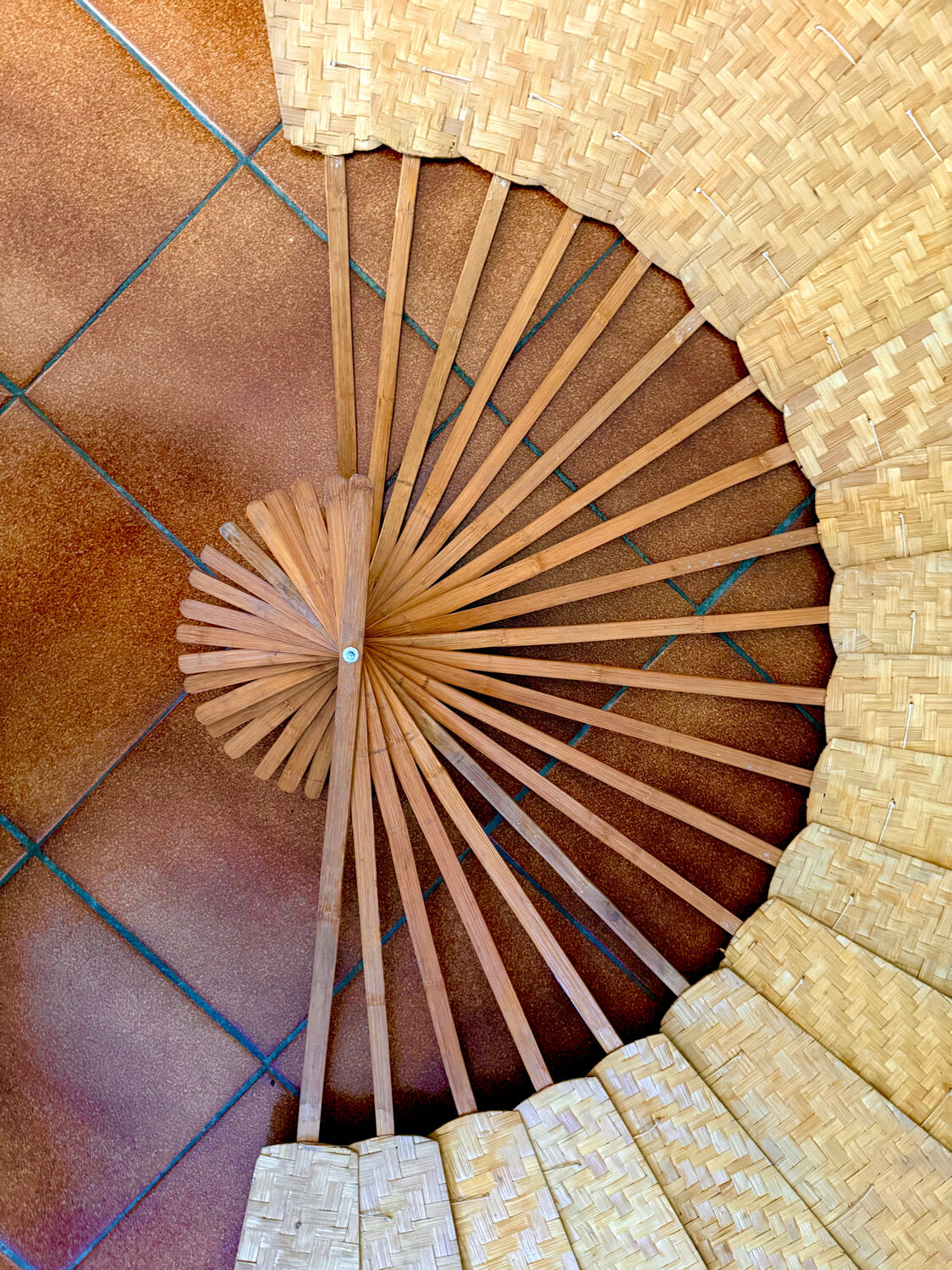 Fan