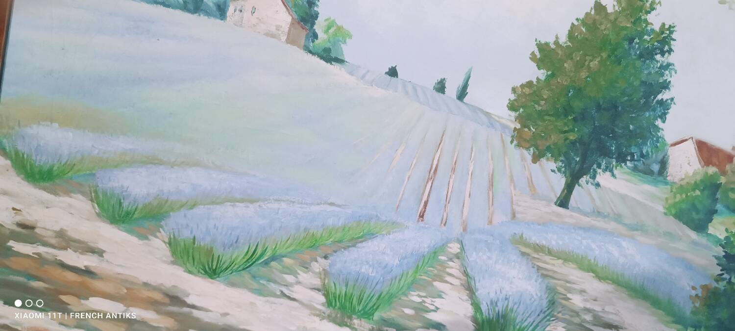Vintage French table, a field of lavender.