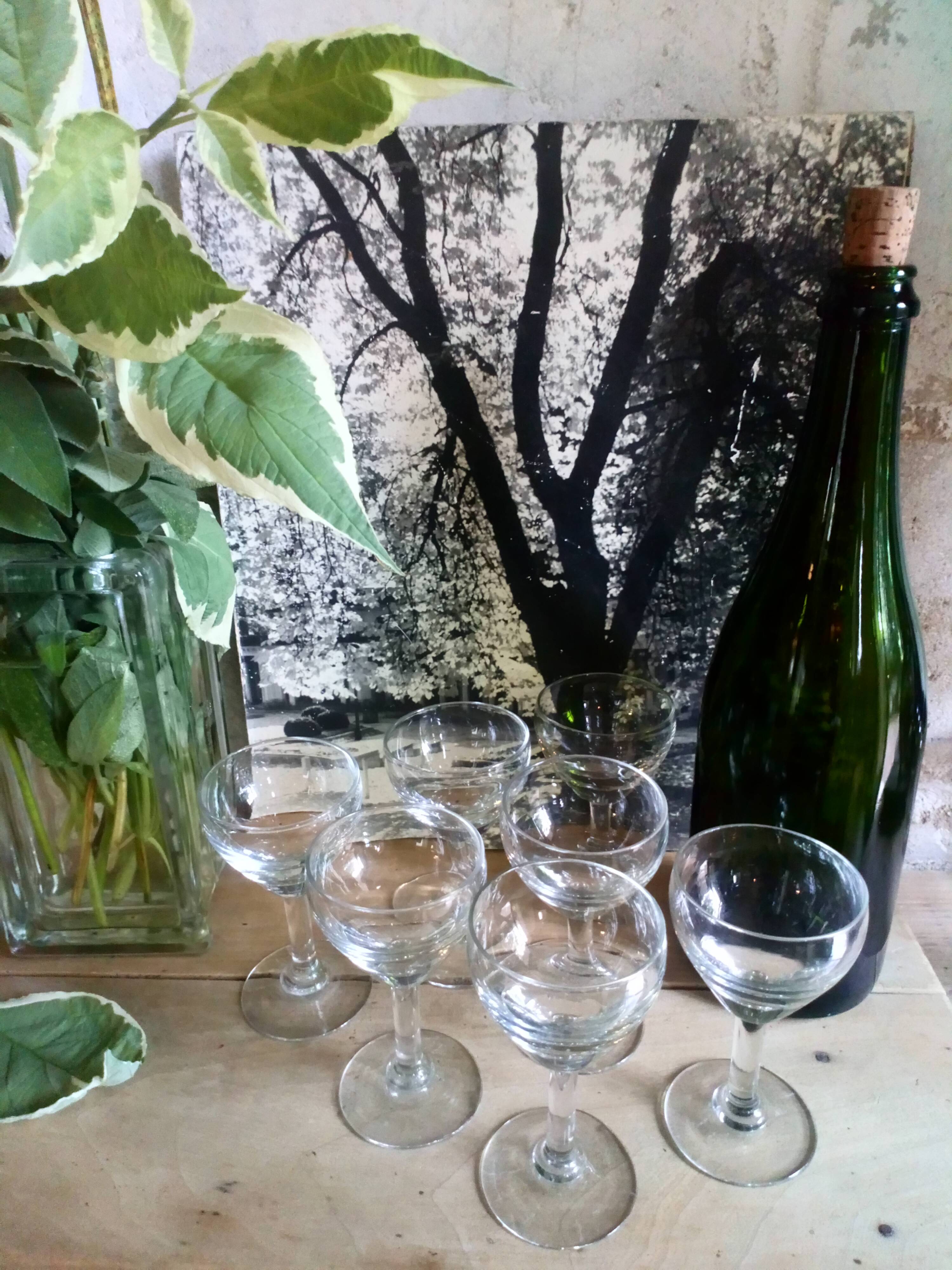 Seven glasses of bistro on foot 40s