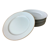 Nitto Hawthorne Japan plates - prestige tableware