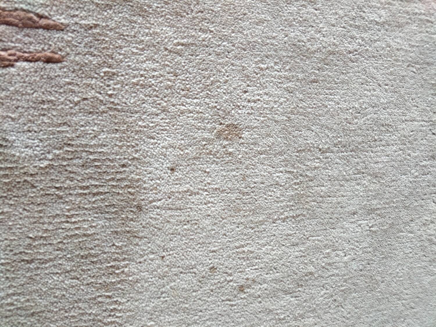 Hand-knotted wool rug 170x240 – Terra Home Editions – terra palette