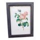 Botanical plate by Redouté