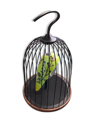 Enceinte lumineuse daqi