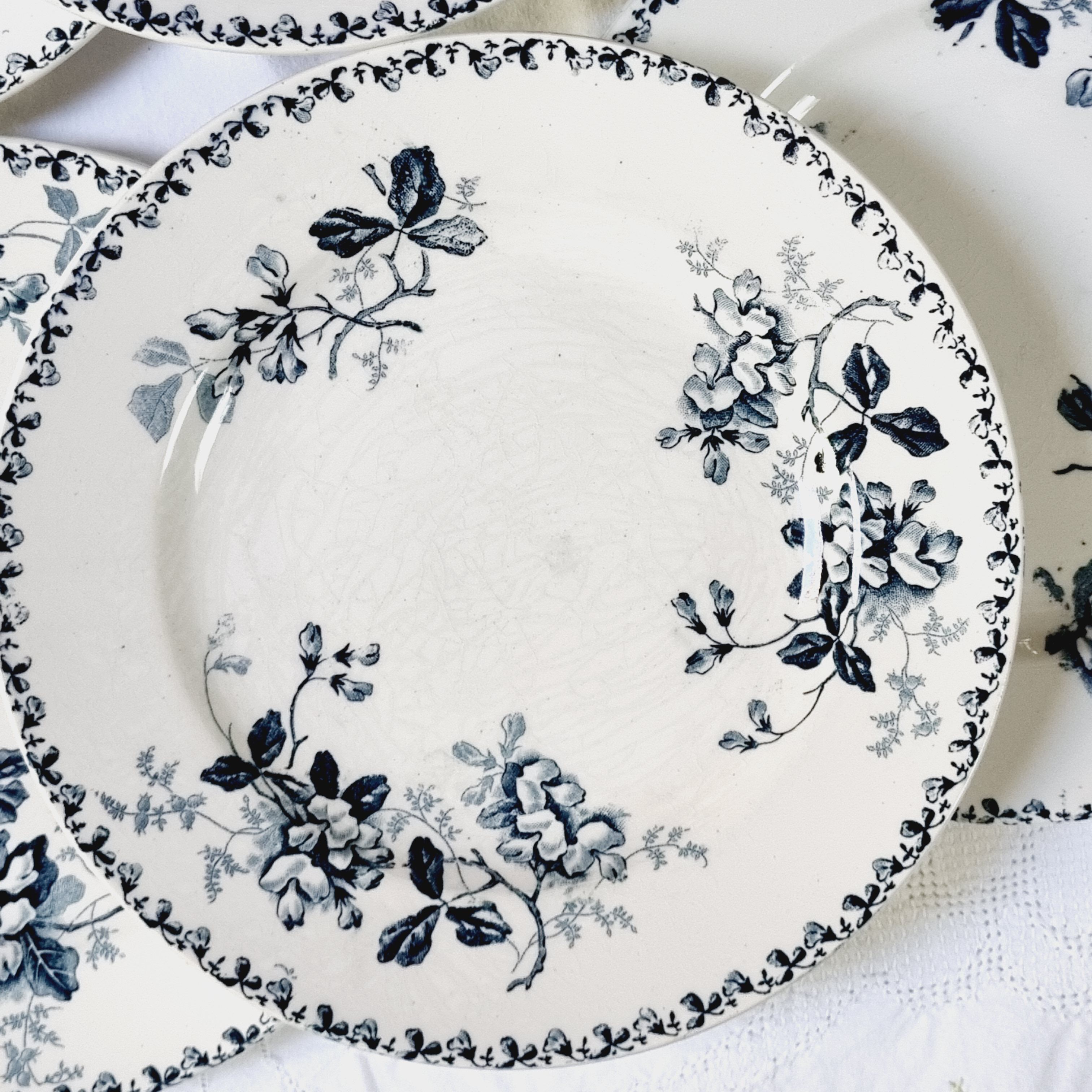 Flat plate Moulin des Loups or Saint Amand Hamage Diameter 22