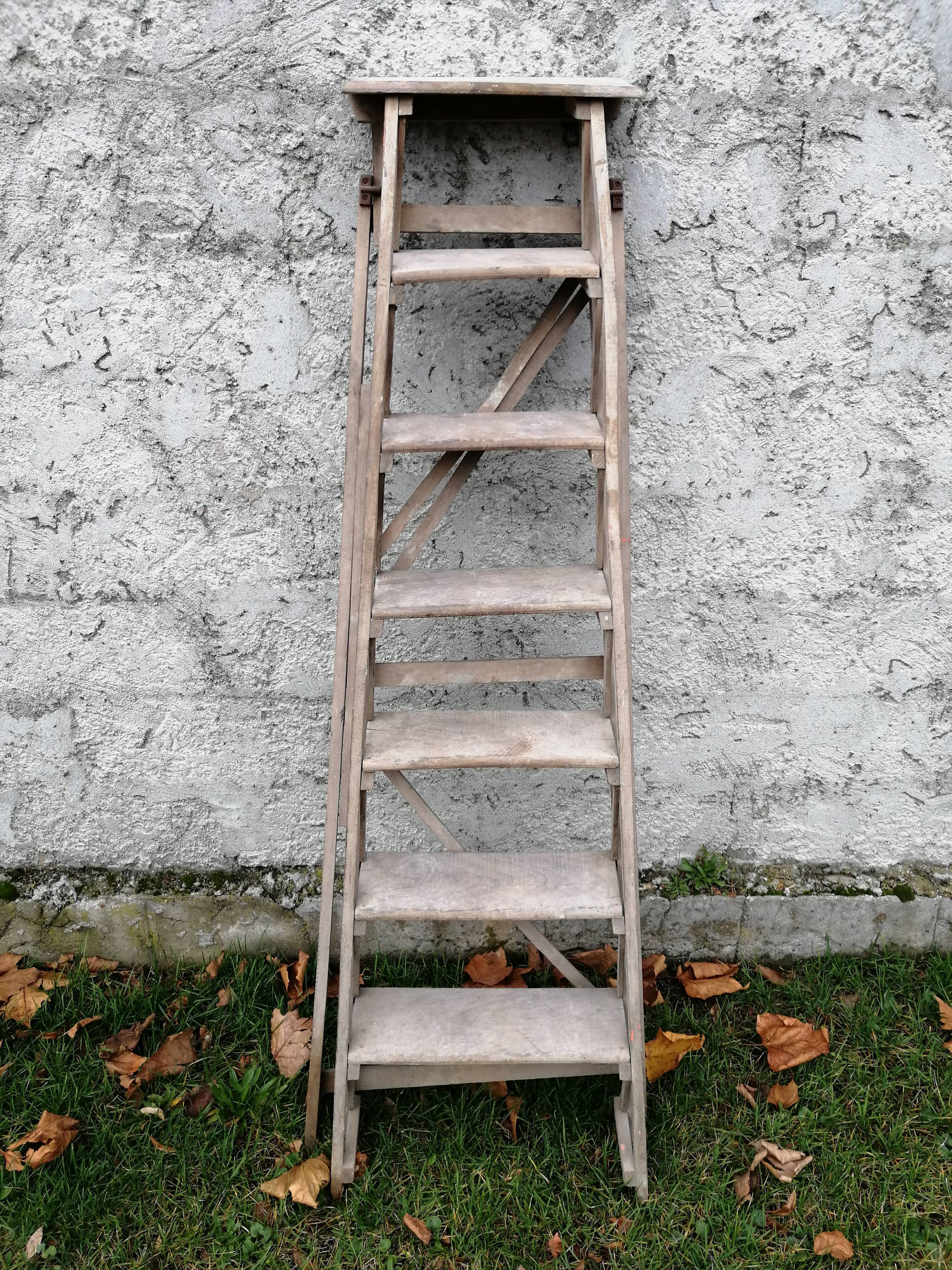Old ladder