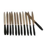 Set of 12 fruit knives in black bakelite