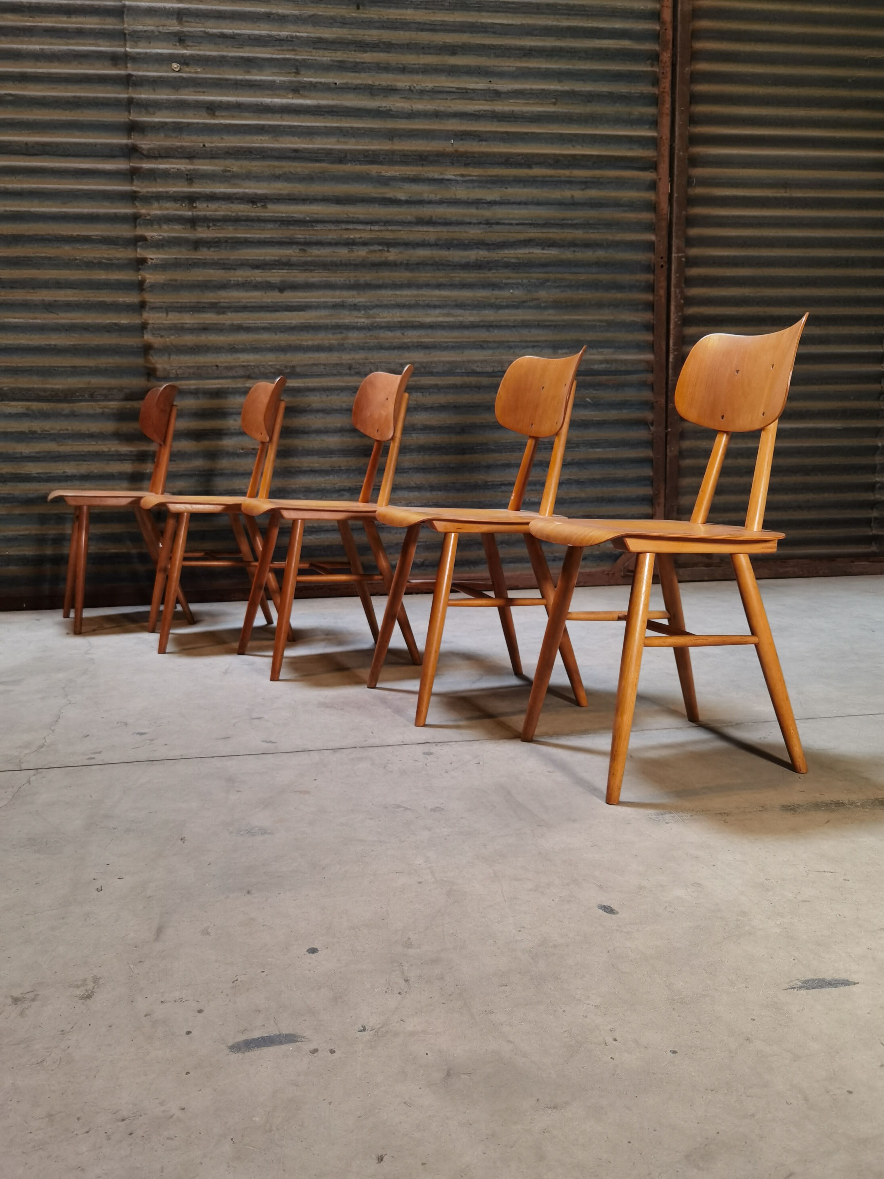 Set of 5 all-wood chairs published by Ton 1960