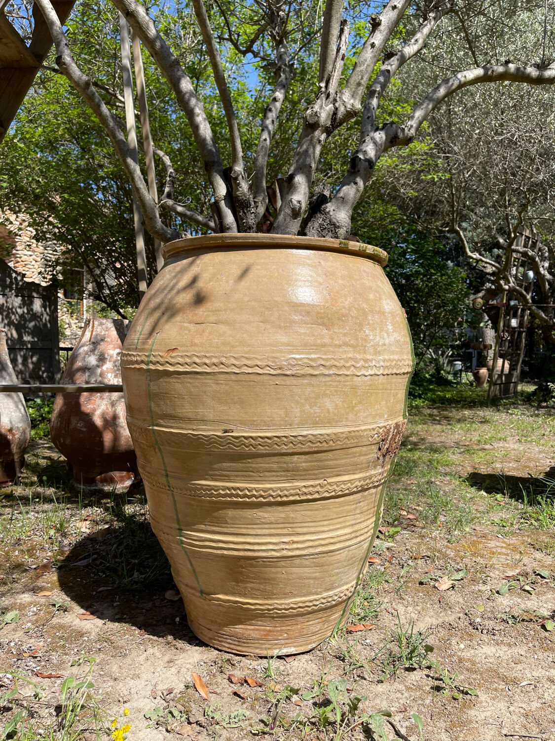 Terracotta jar pottery from the 1880s.