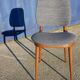 Set of 6 chairs "pegase" by baumann, 60 years