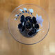 Series 8 champagne coupes luminarc domino anaïs moulded glass vintage #e