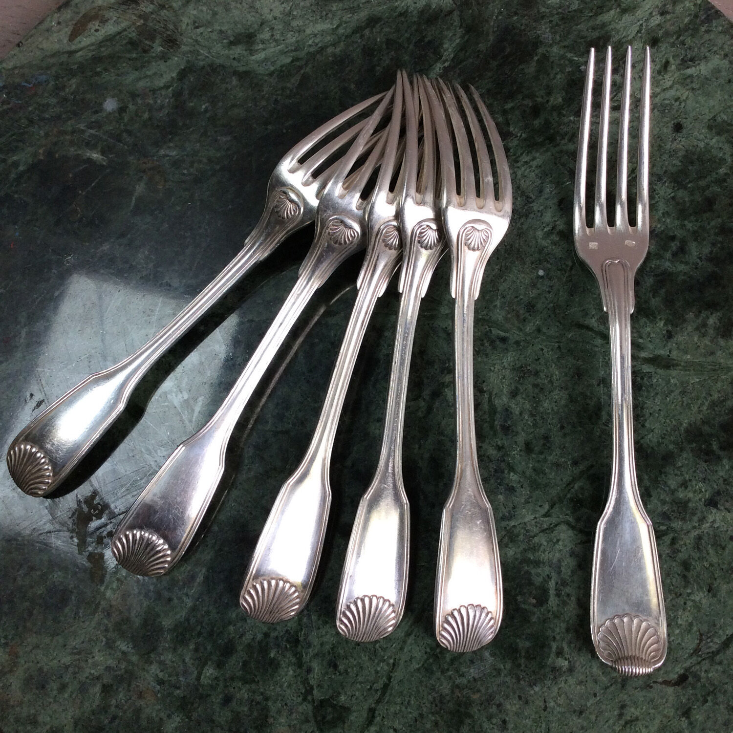 6 bayard shell forks