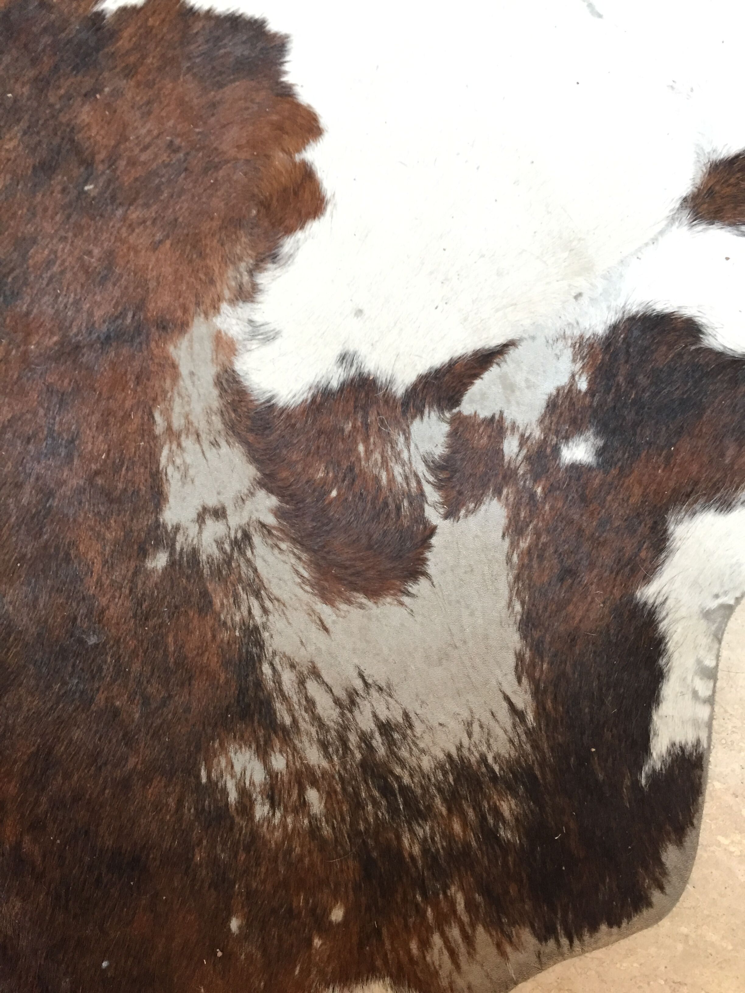 XxL vintage cow skin rug 1970