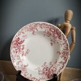 Quartet plates Campanula