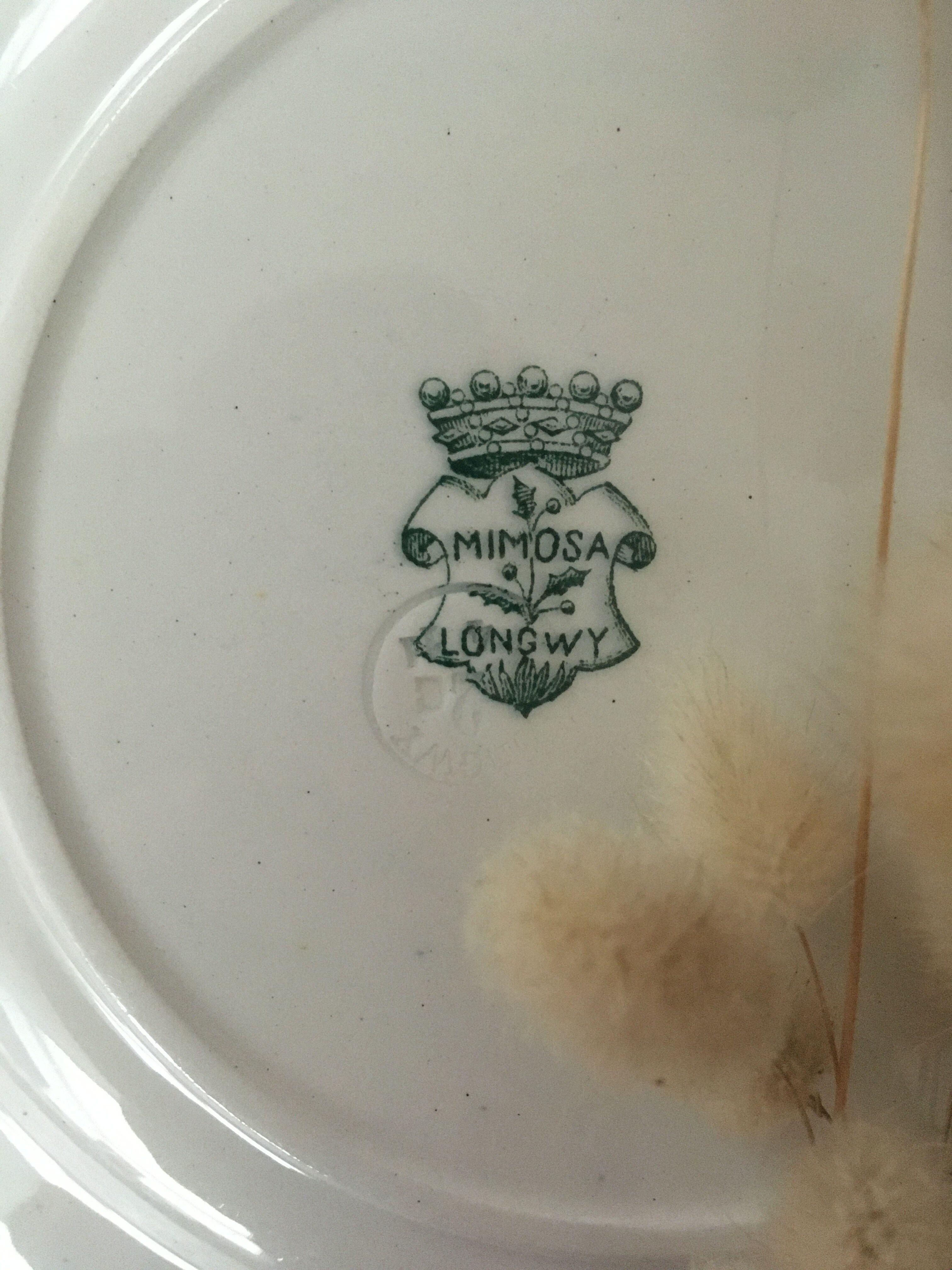 Assiettes plates terre de fer Longwy Mimosa