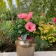 Brown stoneware jar