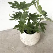 Spherical fibreglass planter, DLG Willy Guhl, 1960s