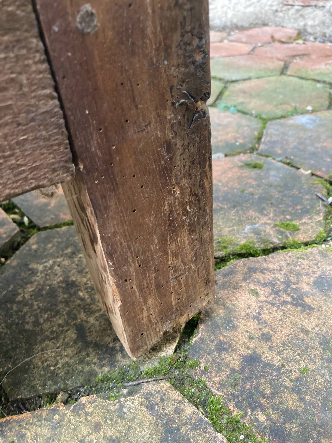 Antique wooden confit pot.