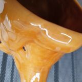 Anthropomorphic pitcher in dabbling