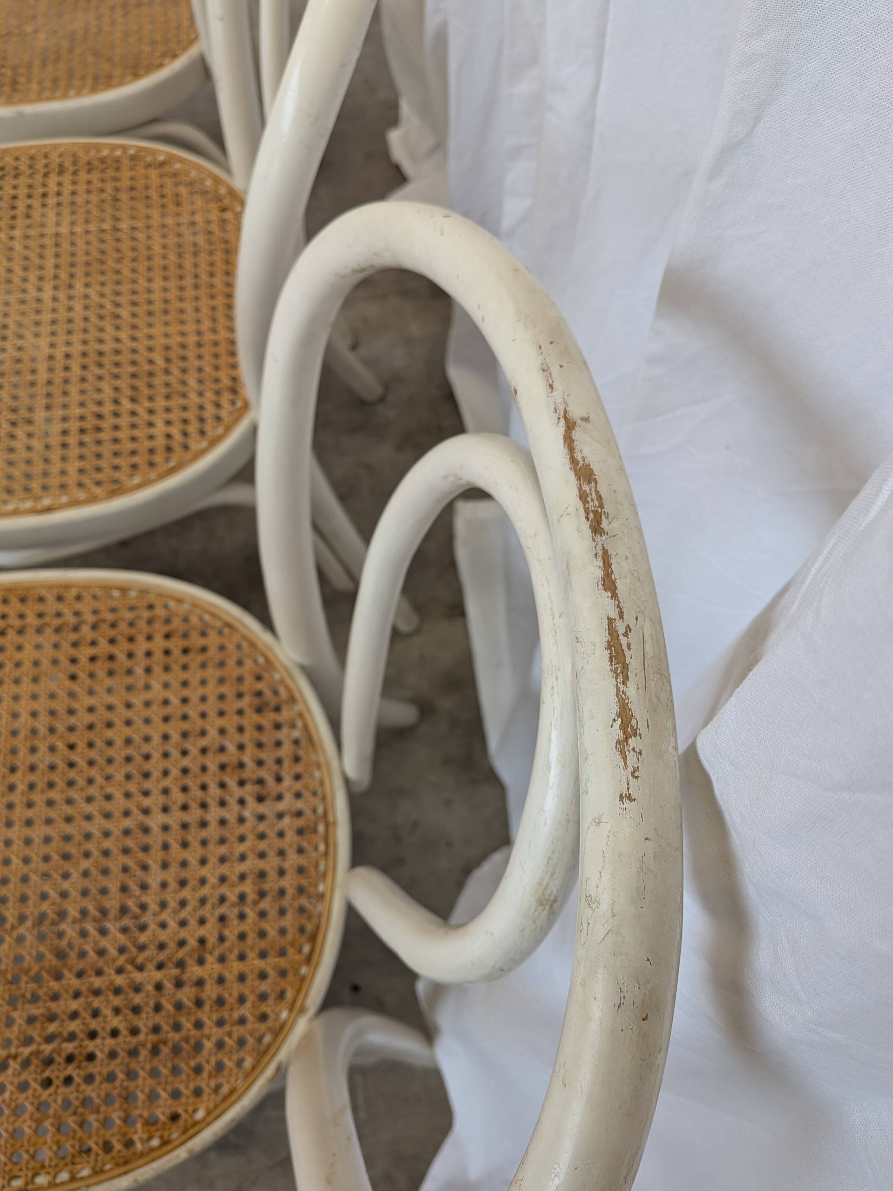 Ensemble de 6 chaises de salle à manger vintage de style Thonet : bois blanc et assise en cannage.