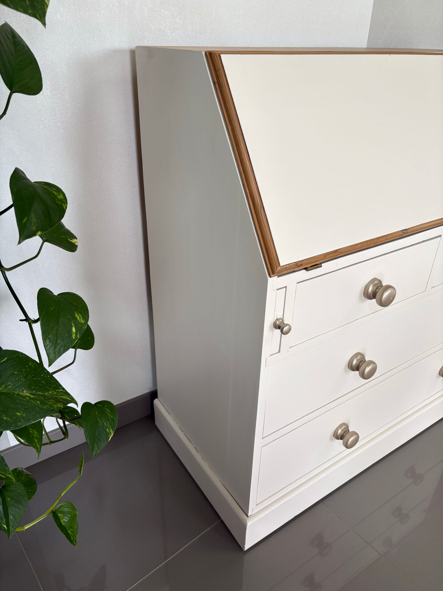 Charming secretary fully restored