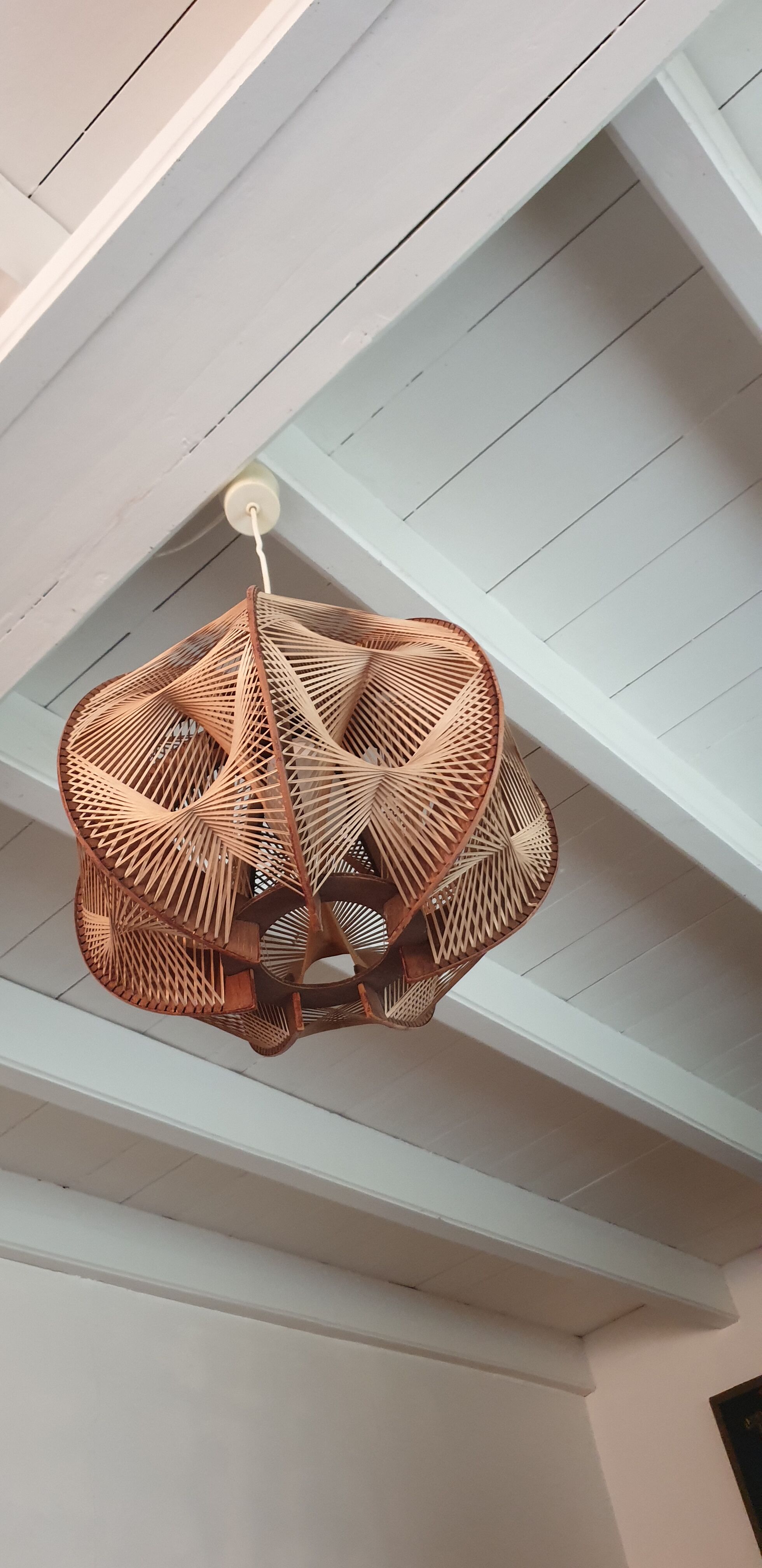 Scandinavian suspension wires and wood