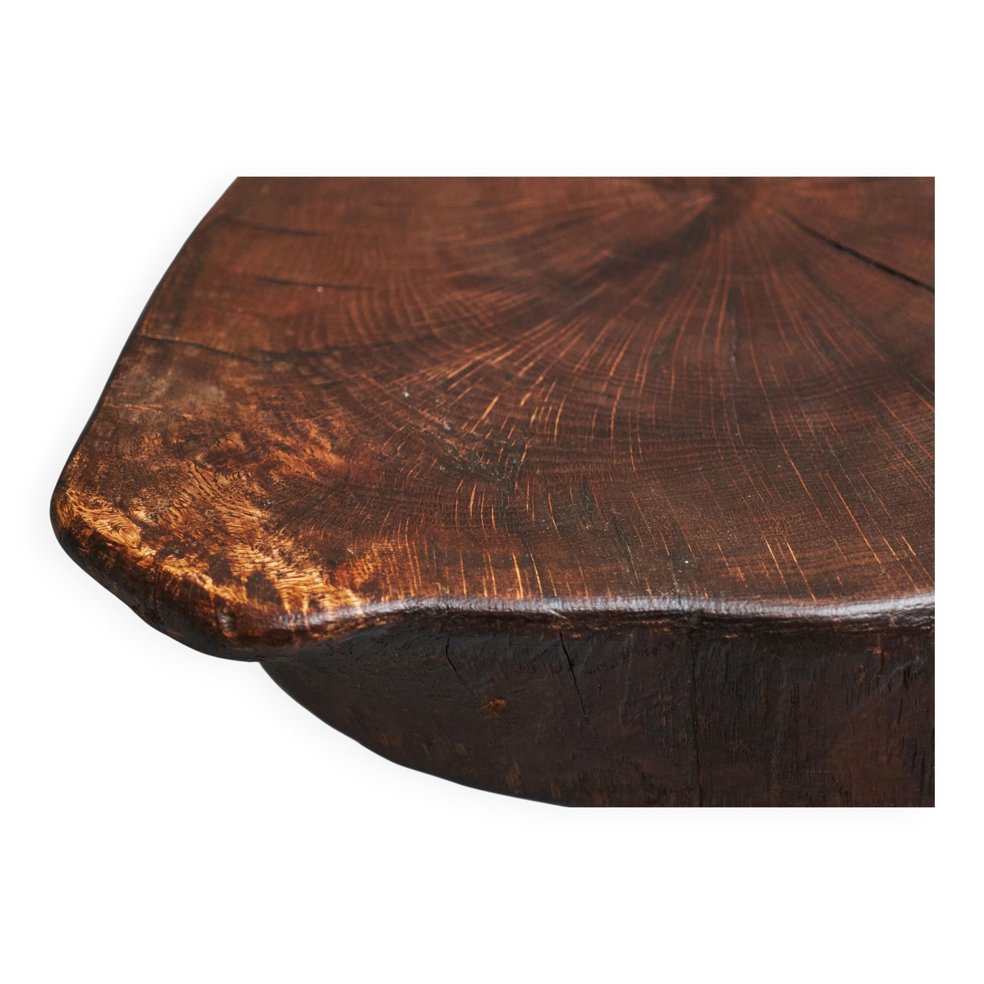 Tree Stump Stool or Solid Wood and Wrought Iron Side Table, Mid-Century